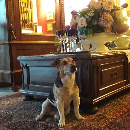 B&B Silvana Travedona Екстериор снимка
