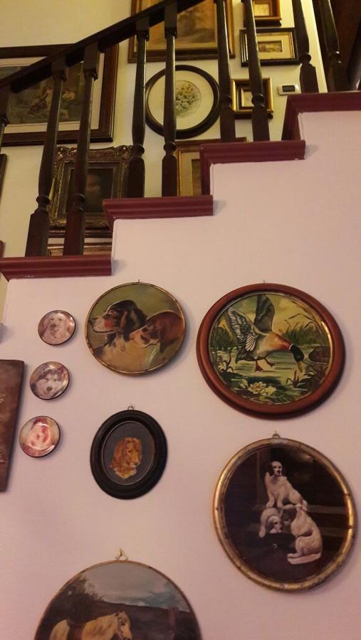 B&B Silvana Travedona Екстериор снимка
